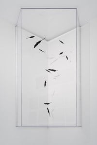 Slow Swirl by Maya Kramer contemporary artwork sculpture, installation