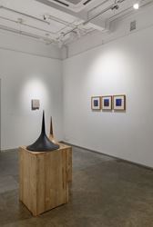 Exhibition view: Ayesha Sultana, Pulse, Experimenter (21 August–30 September 2020). Courtesy Experimenter.