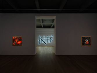 Exhibition view: Ivan Navarro, Celestialand, Templon, New York (3 November–24 December 2022). Courtesy Templon, Paris —Brussels — New York.