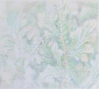 Fern 170114 蕨 170114 by Jeng Jundian contemporary artwork works on paper