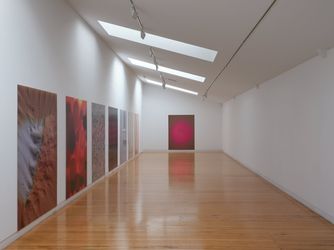 Exhibition view: Judy Darragh, Memory Foam, Two Rooms (25 November–24 December 2021). Courtesy Two Rooms.