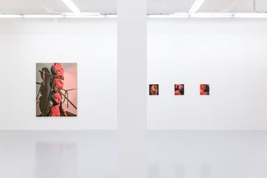 Exhibition view: Wedhar Riyadi, Light and Shadow, Yavuz Gallery, Singapore (11 February–5 March 2023). Courtesy Yavuz Gallery.