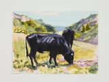 Black Cows by Liu Xiaodong contemporary artwork 2