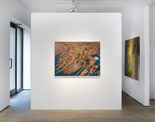 Exhibition view: Amitesh Shrivastava, The Sniffer, Gratin, New York (10 November 2022–13 January 2023). Courtesy Gratin.