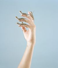 Five Dragons by Petrina Hicks contemporary artwork photography