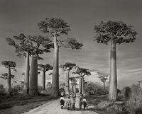 Off to Market by Beth Moon contemporary artwork photography