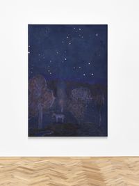Starry night with Donkey ( August 1974) by Andrew Cranston contemporary artwork painting