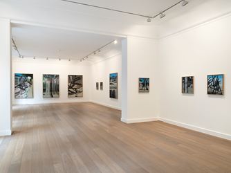 Exhibition view: Marc Desgrandchamps, Jardins obscurs, Galerie Lelong & Co., 13 Rue de Téhéran, Paris (5 September–5 October 2019). Courtesy Galerie Lelong & Co., Paris. 