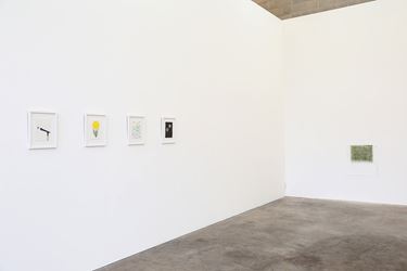 Exhibition view: Zina Swason, My hand is a season, Jonathan Smart Gallery, Christchurch (6 October–28 October 2017). Courtesy Jonathan Smart Gallery. 