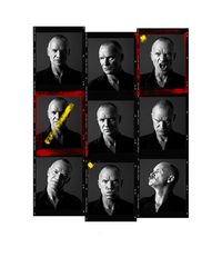 Sting Contact Sheet by Andy Gotts contemporary artwork photography, print