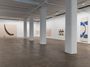 Contemporary art exhibition, Landon Metz, A Different Kind of Paradise at Sean Kelly, New York, United States