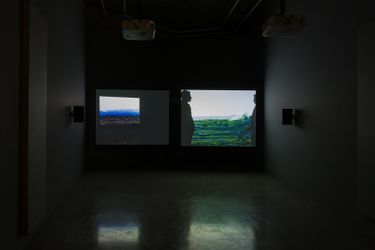 Lawrence Abu Hamdan Once Removed, HD video, colour, sound, 30 minutes, 2019installation view, Maureen Paley, London, 2020