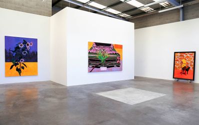Exhibition view: Pete Wheeler, Let Me Remember My Song In The Night, Jonathan Smart Gallery, Christchurch (26 November–18 December 2021). Courtesy Jonathan Smart Gallery. 