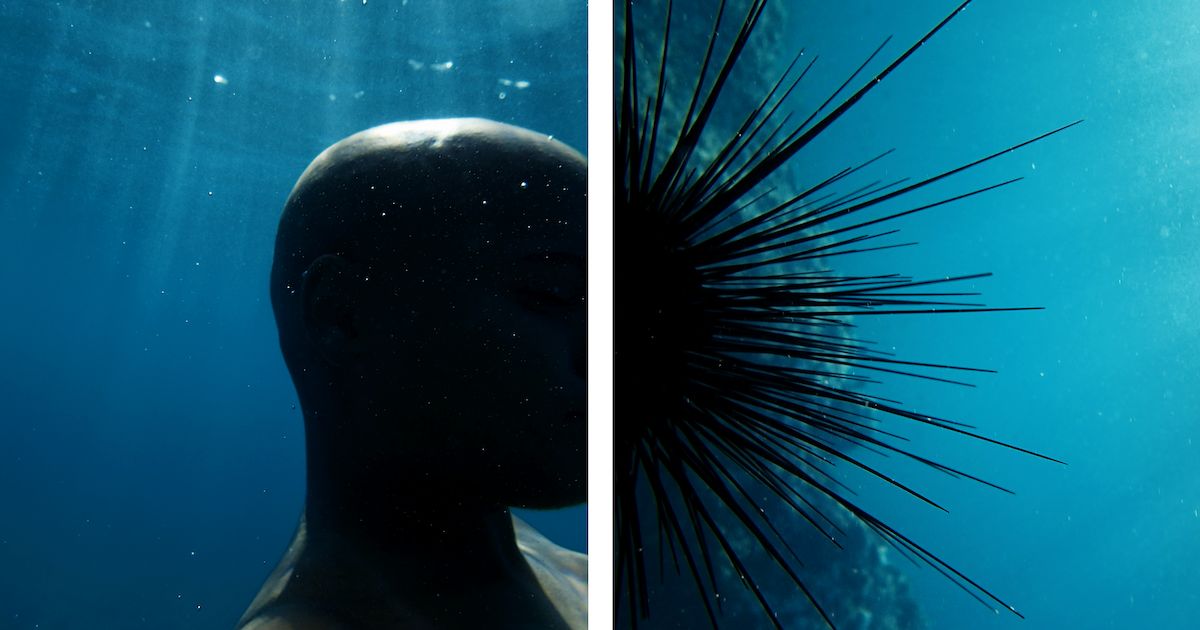 Fragments of Epic Memory Centres the Caribbean and Its Diaspora | Ocula