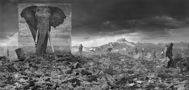 ‘Wasteland with Elephant’,  Inherit The Dust, Kenya by Nick Brandt contemporary artwork