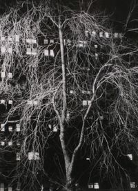Washington Square Park West, Evening, February 10-15 by André Kertész contemporary artwork photography