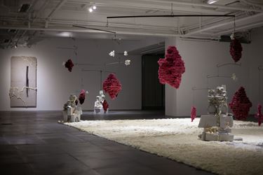 Installation view of Shifting Landscapes