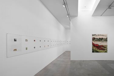 Exhibition view: Julian Irlinger, Subjects of Emergency, Galerie Thomas Schulte, Berlin (24 November 2018–12 January 2019). Courtesy Galerie Thomas Schulte. Photo: ©Poppek.