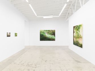 Exhibition view: Hannah Brown, Hollow Pond, Anat Ebgi, Los Angeles (8 March–20 April 2024). Courtesy Anat Ebgi, Los Angeles/New York.