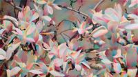 Impressionist Magnolia by Shi Guowei contemporary artwork painting