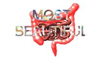 INTESTINOLOGY Series 01: We Have The Most Beautiful Intestine by Joo Choon Lin contemporary artwork 1