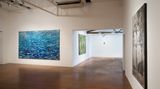 Contemporary art exhibition, Daniel Boyd, Floating Forest at Roslyn Oxley9 Gallery, Sydney, Australia