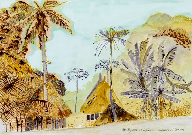 Postcards from Africa: Banana and palm trees, Senegal by Sue Williamson contemporary artwork