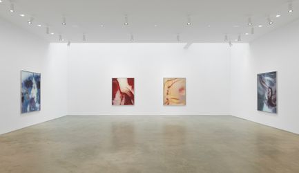 Exhibition view: Anicka Yi, ÄLñ§ñ, Gladstone Gallery, New York (6 October 2022–12 November 2022). Courtesy Gladstone Gallery.