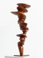 Untitled by Tony Cragg contemporary artwork 5
