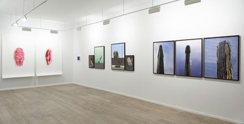 Exhibition view: Marcos Chaves, Galeria Nara Roesler, New York (3 March–8 April 2017). Courtesy Galeria Nara Roesler. Photo: Adam Reich © Galeria Nara Roesler.