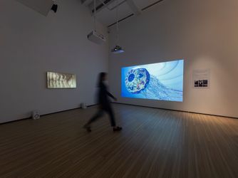 Contemporary art exhibition, Ryotaro Muramatsu, Fluffy at Whitestone Gallery, Taipei, Taiwan