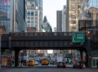Iván Argote’s Giant Pigeon to Alight on New York’s High Line