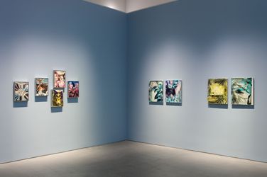 Exhibition view: Han Jiaquan, HAN Jiaquan: The Final Message, Arario Gallery, Shanghai. (14 January–4 March 2023). Courtesy Arario Gallery.