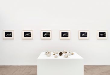 Contemporary art exhibition, Giuseppe Penone, Geometria Nelle Mani at Marian Goodman Gallery, New York, United States