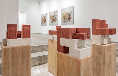 Exhibition view: Rathin Barman, There is Now a Wall, Experimenter, Hindustan Road (3 February–26 March 2022). Courtesy Experimenter.