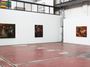 Contemporary art exhibition, Debra Cartwright, Phantasmatic Figures at Bode, Berlin, Germany