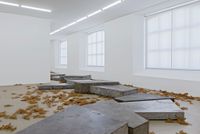 Evaporated Pools by Martin Boyce contemporary artwork installation