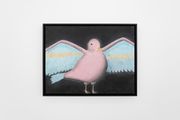 portrait of a pink bird (with blue and gold wings) by Andrew Sim contemporary artwork 1