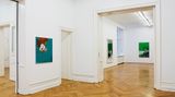 Contemporary art exhibition, Thomas Eggerer, Fence Romance at Galerie Buchholz, Berlin, Germany