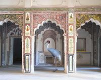 The Search for Sattva, Ahhichatragarh Fort, Nagaur by Karen Knorr contemporary artwork photography