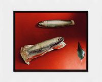 Sardines by Lucas Blalock contemporary artwork photography