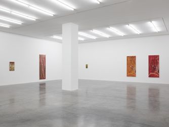 Exhibition view: Louise Giovanelli, As If, Almost, White Cube, Bermondsey, London (8 July–11 September 2022). © the artist. Courtesy White Cube.