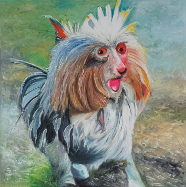 A Brown and White Dog Sitting in the Grass Holding a Frisbee in Its Mouth by Alexander Reben contemporary artwork