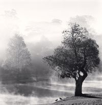 Morning Mists, Pyin U Lwin, Myanmar by Michael Kenna contemporary artwork photography