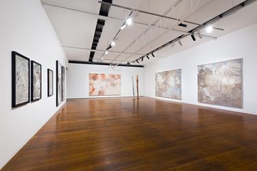 Exhibition view: Nyapanyapa Yunupiŋu,The Little Things, Roslyn Oxley9 Gallery, Sydney (28 January—27 February 2021). Courtesy Roslyn Oxley9 Gallery. Photo: Luis Power