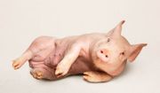 Heji Shin's Reclining Nude Pigs at Zwirner's 52 Walker