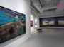 Contemporary art exhibition, Edward Burtynsky, African Studies at Sundaram Tagore Gallery, New York, New York, United States