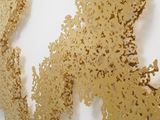 Ghost Vines (Yellow Gold) by Teresita Fernández contemporary artwork 2