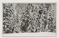 Untitled (Lanserhof Forest) by Robert Longo contemporary artwork works on paper, drawing