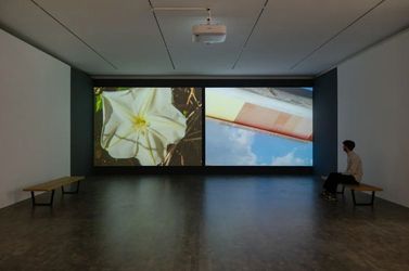 Exhibition view: Yto Barrada, Bite the Hand, Pace Gallery, London (22 March–11 May 2024). Courtesy Pace Gallery.